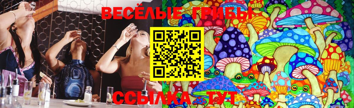 Псилоцибиновые грибы мухоморы  Вход с VPN  Кизилюрт 